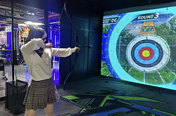 Archery simulator sports